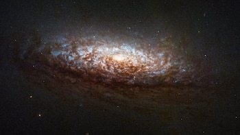 Estas son las fechas en