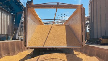 En un contexto donde la