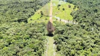 Con el apoyo de la DEA, autoridades colombianas han identificado al menos 8 pistas clandestinas usadas por los narcos: en qué consiste la Operación Soberanía Uno