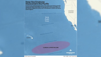 Mapa del océano Pacífico mostrando las costas de Estados Unidos y México, las islas de Hawái, y la Zona Clarion-Clipperton resaltada en violeta
