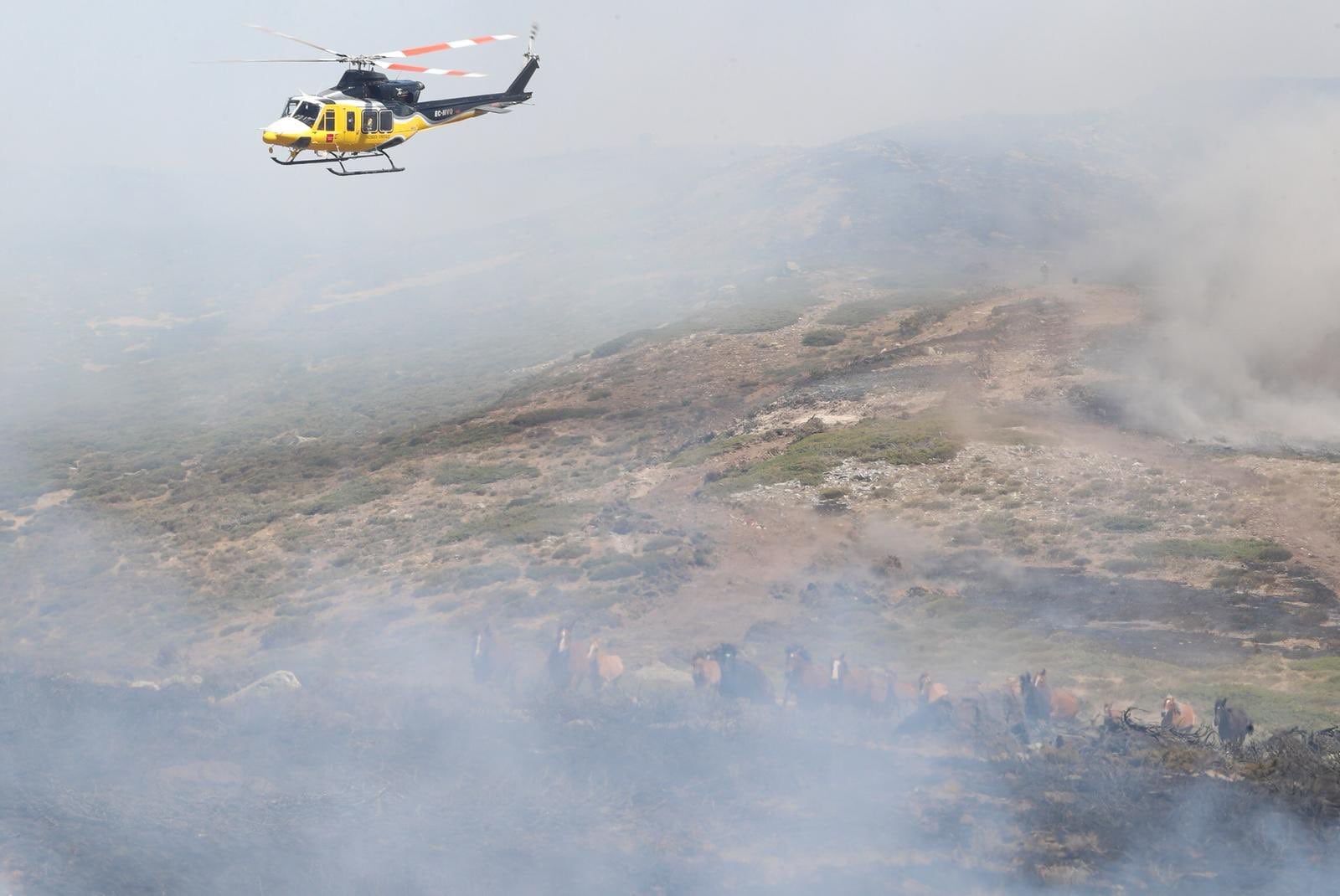 Madrid multa con 129.000 euros a la empresa suiza que le suministra los helicópteros contra incendios porque no estuvieron operativos varios días de la campaña de verano