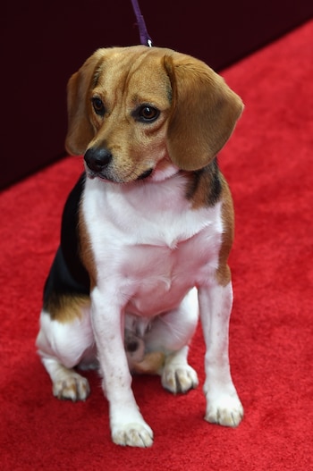 La vez que Andy acompañó