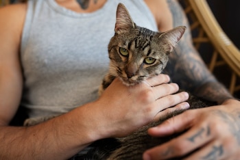 Un hombre sostiene un gato mientras mira a cámara (Magnific)
