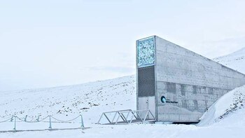 ¿Qué es la bóveda de