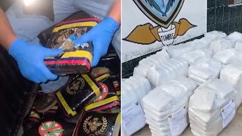 Camión que trasladaba más de 700 kilos de marihuana hacia Chile es intervenido en Tumbes