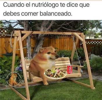 Foto: Nutrióloga Pediatra Angélica Paloalto