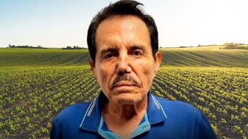El Mayo Zambada lavó dinero a través de sus empresas de ganadería y agricultura. (Anayeli Tapia/Infobae)
