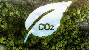 Latinoamérica pisa fuerte en el mercado de carbono: el desafío es convertir naturaleza en inversión