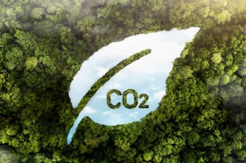 Bosques, hoja con símbolo de dióxido de carbono (CO2)