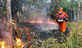 En el Bulevar Constitución, Mejicanos, bomberos controlaron un incendio en un predio con hojarasca, evitando su expansión a zonas aledañas de San Salvador Centro. (Foto: Bomberos El Salvador)