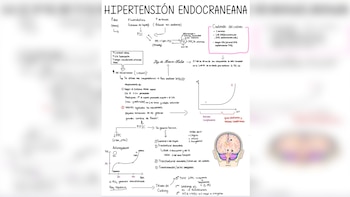Gracias a las técnicas de