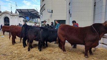 Hoy sigue la admisión de