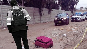 Una maleta de color fue