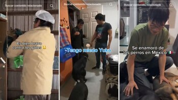 La tiktoker japonesa muestra cómo