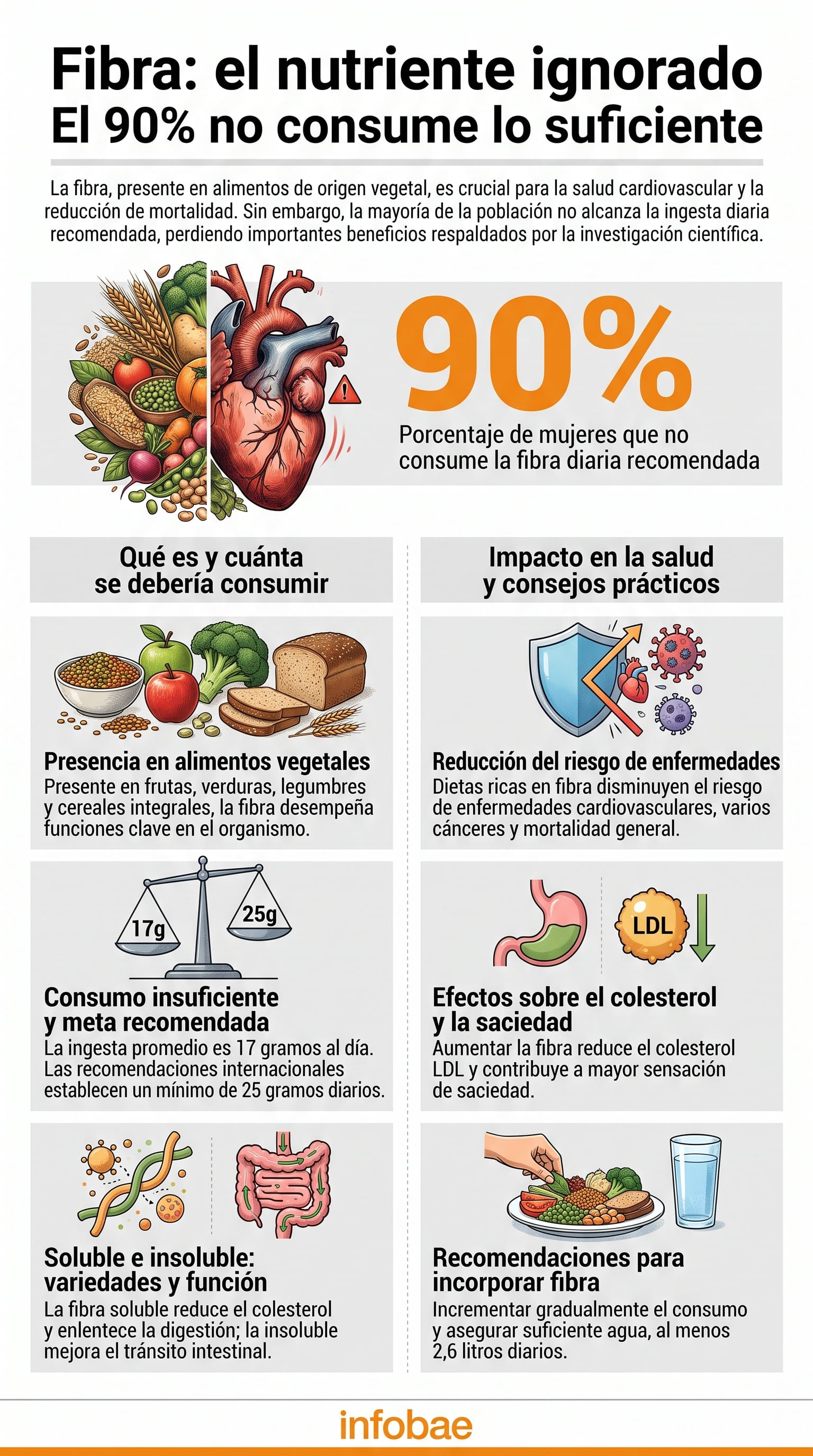 Más del 90% de las mujeres no llega a la ingesta diaria recomendada por autoridades sanitarias. (Imagen Ilustrativa Infobae)