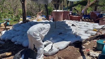 EEUU se atribuye la incautación de 16 toneladas de metanfetamina en Sinaloa, México