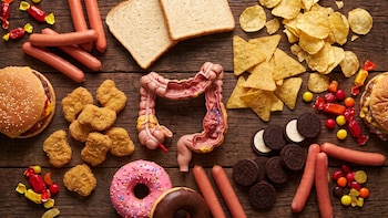 Modelo de plástico de un colon seccional rodeado de salchichas, hamburguesas, frituras, donas, galletas y dulces sobre una mesa de madera