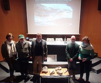 Imagen 4J4F333PHFH4NMSPWGOM5MBZGA