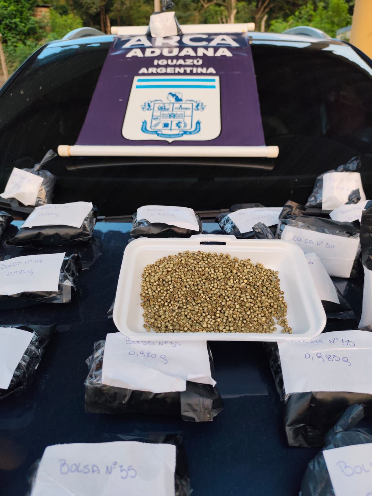 Los elementos secuestrados.