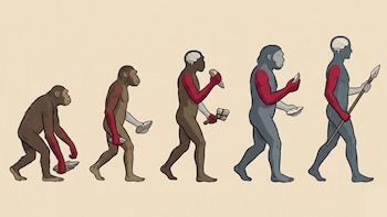 Serie de siluetas de homininos en evolución, desde figura encorvada a erguida, con mano derecha roja y izquierda gris, manipulando herramientas. Fondo beige
