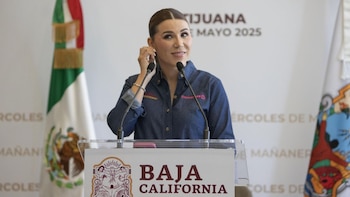 Marina del Pilar dejó de figurar como socia de empresa ligada por EEUU al Mayito Flaco 19 días antes de sanción de la OFAC