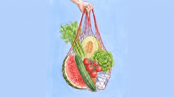 Mano que sostiene una bolsa de red roja con sandía, melón, pepino, tomates, lechuga, apio y un vaso de yogur.