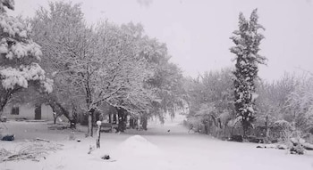 Ayer se registró caída de