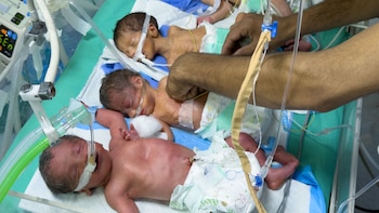 Dos bebés fallecen y 53