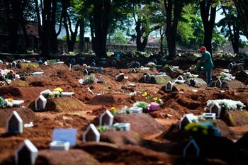 Vista general de una parcela