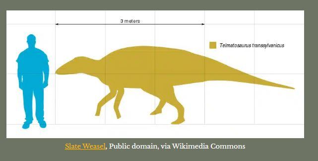 El descubrimiento de un ameloblastoma en el Telmatosaurus transsylvanicus ofrece claves para comprender cómo las especies extintas lidiaban con el cáncer. (MDPI)