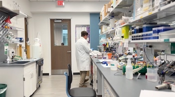 La Universidad de Emory investiga una nueva terapia para la leucemia infantil con menos toxicidad que la quimioterapia