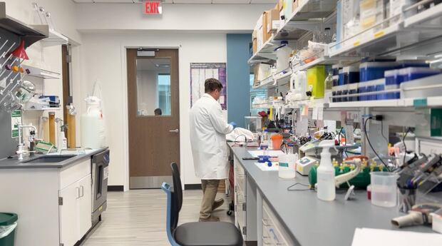 La Universidad de Emory investiga una nueva terapia para la leucemia infantil con menos toxicidad que la quimioterapia