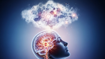 Por qué imaginar una escena puede sentirse tan real como verla