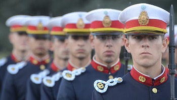 Según Dalle Nogare, la vida