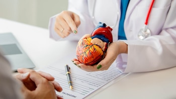 10 motivos para ir a