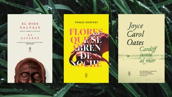 Tres libros de Fiordo