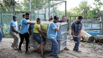 El viaje más esperado de