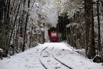 Un recorrido en el tren