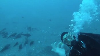 Un buzo de la empresa