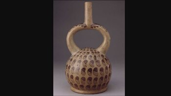 Descubre cómo esta leguminosa fue