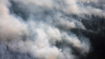 (Con fotos e información de