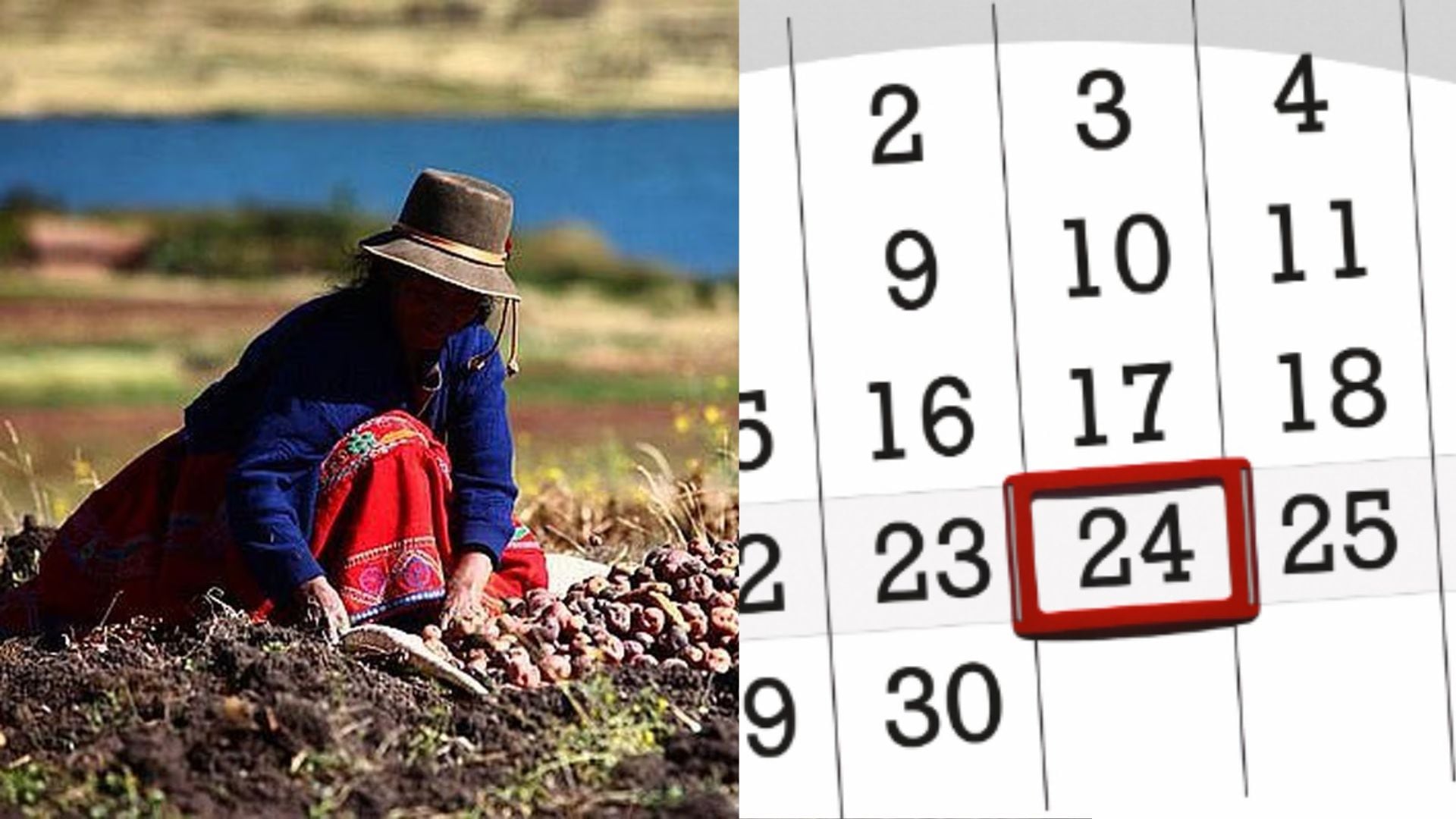 El 24 de junio se celebrará en todo el Perú el Día del Campesino, una fecha que busca honrrar el trabajo de las hombres y mujeres del campo | Foto composición: Infobae Perú