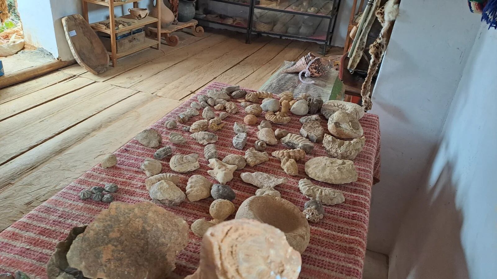 Foto: Tu Diario Huánuco