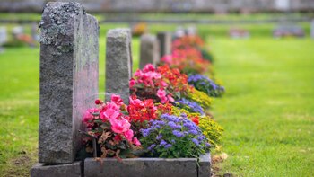 El menor estaba visitando la