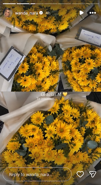 El reencuentro de Wanda Nara con sus hijas