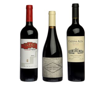 Altos Las Hormigas Mendoza Appellation