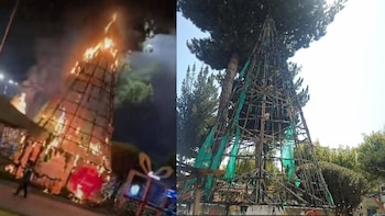 Un incendio consumió el árbol
