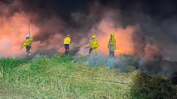 Incendio forestal entre Popayán y El Tambo dejó un bombero herido