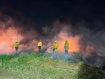 El operativo en Pueblillo contó con seis unidades bomberiles y el apoyo del Grupo Scout de Emergencia, lo que permitió proteger viviendas y líneas eléctricas cercanas al fuego - crédito Benemérito Cuerpo de Bomberos Voluntarios de Popayán / Facebook