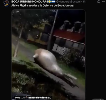 Imagen 4KJ7PB2XRJEMXDXZBVKZ27PJQE